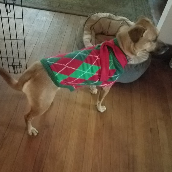 Meet your Posher, Sarah - Picture 2 of 4